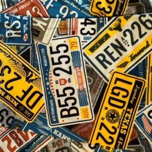 LuLaroe TC Leggings 12-18 license plates